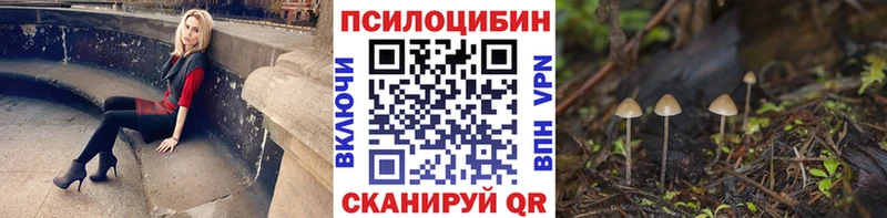 купить наркотики цена  Алейск  Галлюциногенные грибы мицелий 